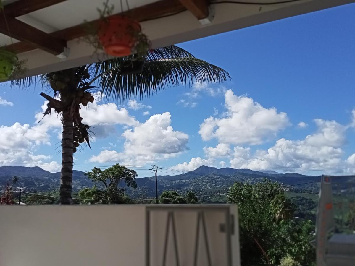 Paradis Cache - Confort Terrasse - Kybo Karaib Location - Pkg - Mtgne Sainte-Marie Luaran gambar