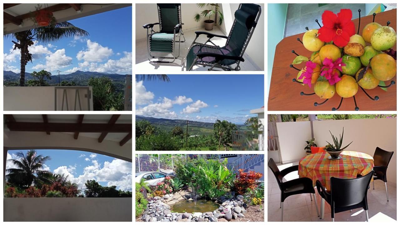Paradis Cache - Confort Terrasse - Kybo Karaib Location - Pkg - Mtgne Sainte-Marie Luaran gambar